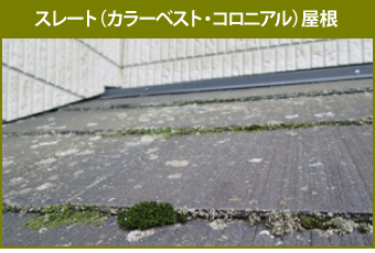 苔の生えたスレート(カラーベスト・コロニアル)屋根