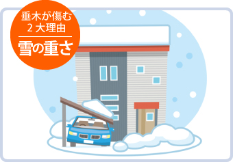 垂木が傷む2大理由:雪の重さ