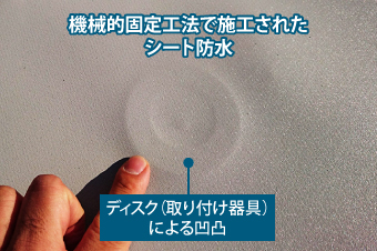機械的固定工法で施工されたシート防水→ディスク(取り付け器具)による凹凸