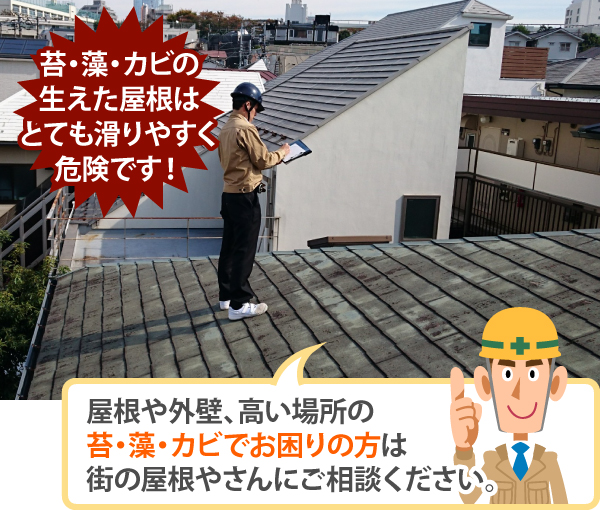 苔・藻・カビの 生えた屋根はとても滑りやすく危険です!