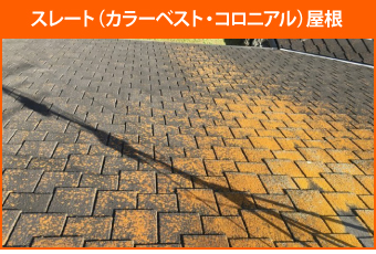 苔・藻・カビなどが繁殖したスレート(カラーベスト・コロニアル)屋根