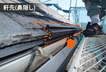 軒先(鼻隠し)