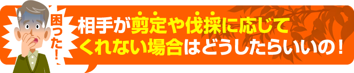 相手が剪定に応じてくれない場合はどうしたらいいの?