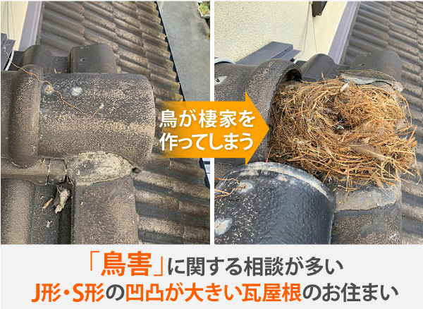 鳥害に関する相談が多いJ形・S形凹凸が大きい瓦屋根のお住まい