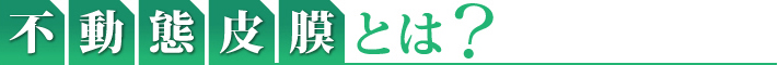 不動態皮膜とは?
