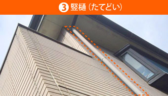 ③竪樋(たてどい)