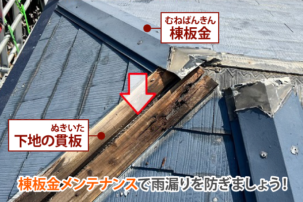 棟板金メンテナンスで雨漏りを防ぎましょう!