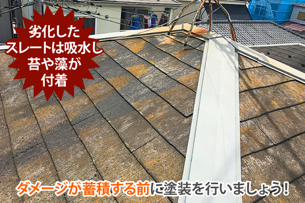 劣化したスレートは吸水し苔や藻が付着します。ダメージが蓄積する前に塗装を行いましょう!
