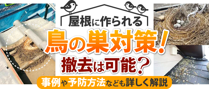 屋根に作られる鳥の巣対策!撤去は可能?事例や予防方法なども詳しく解説