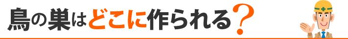 鳥の巣はどこに作られる?