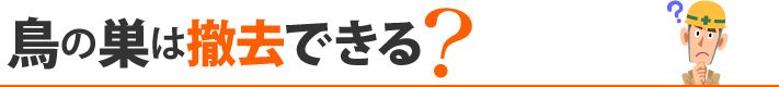 鳥の巣は撤去できる?