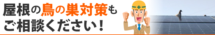 屋根の鳥の巣対策もご相談ください!