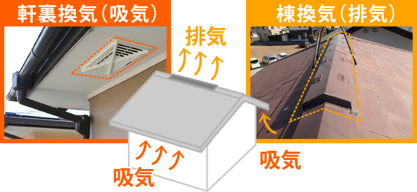 軒裏換気(吸気)と棟換気(排気)の吸気と排気経路