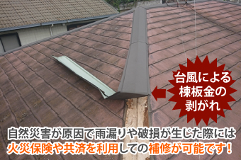 自然災害が原因で雨漏りや破損が生じた際には火災保険や共済を利用しての補修が可能です!